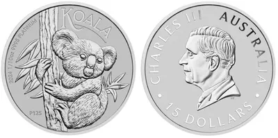 Koala de Platina
